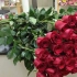 Długie róże - jako niezwykła i istotna historia o uczuciach!